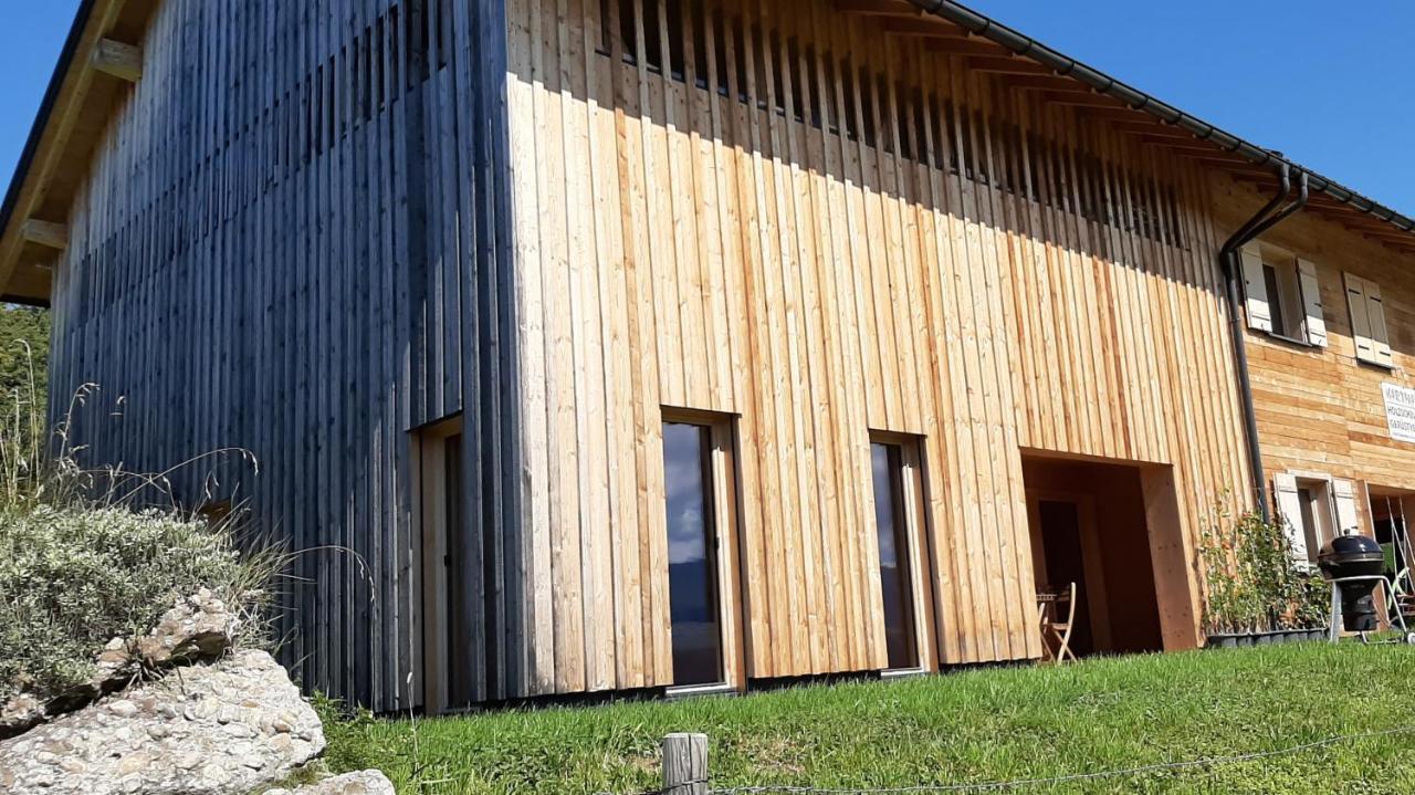 Ferienwohnung Schoenenbuehl ヒッティザウ エクステリア 写真
