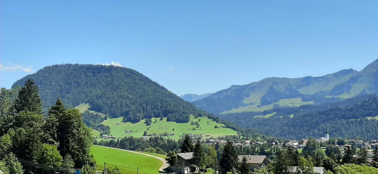 Ferienwohnung Schoenenbuehl ヒッティザウ エクステリア 写真