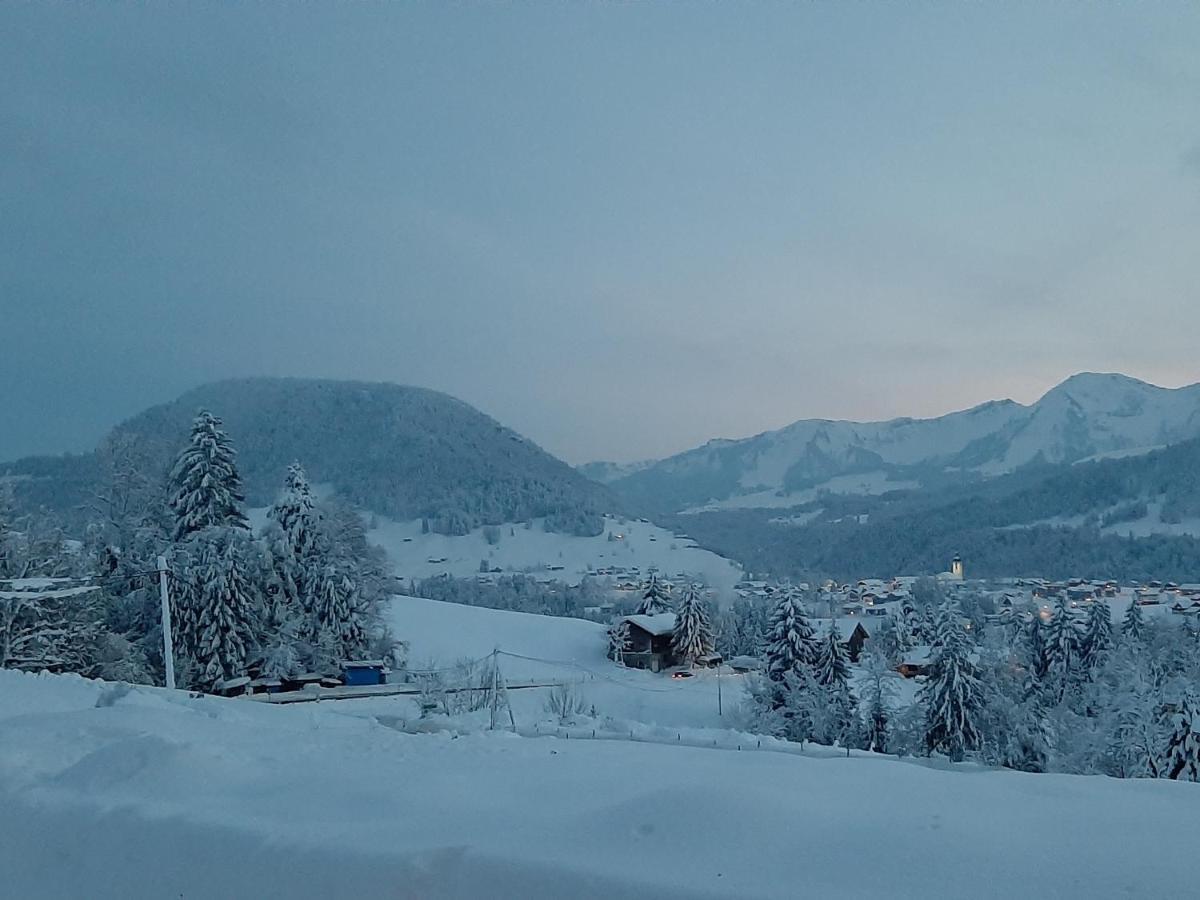 Ferienwohnung Schoenenbuehl ヒッティザウ エクステリア 写真